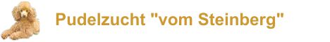 Pudelzucht vom Steinberg